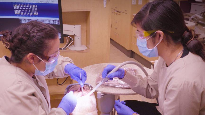 牙科学生为牙科病人工作